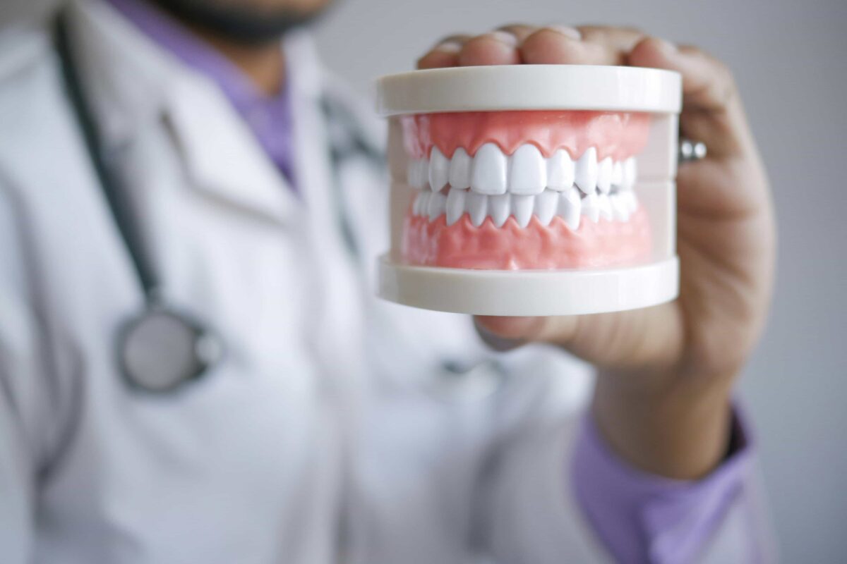 model of teeth